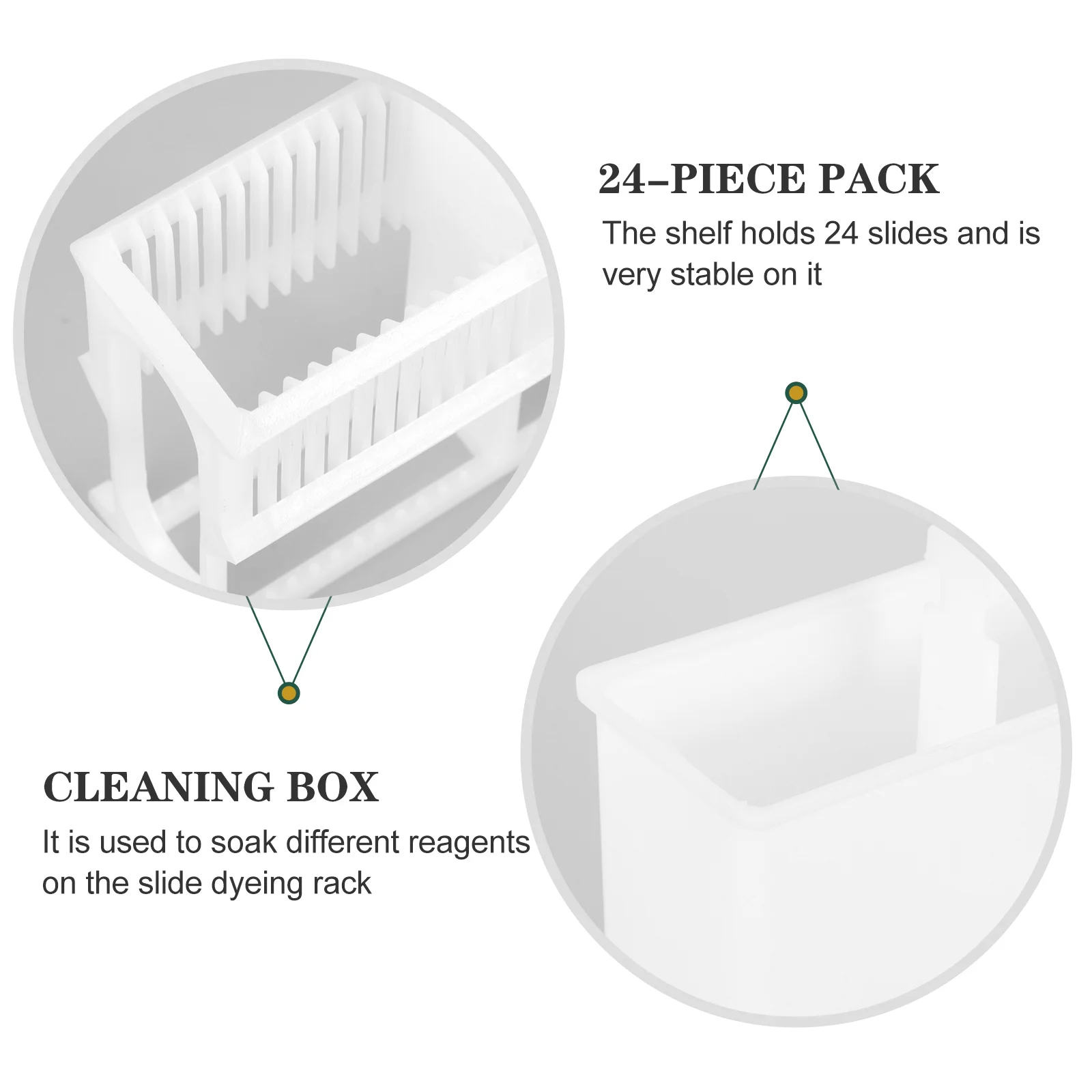 Slide Rack Slides Staining and Jar Kit Microscope Storage Plastic 24 Slots for Laboratory Flask