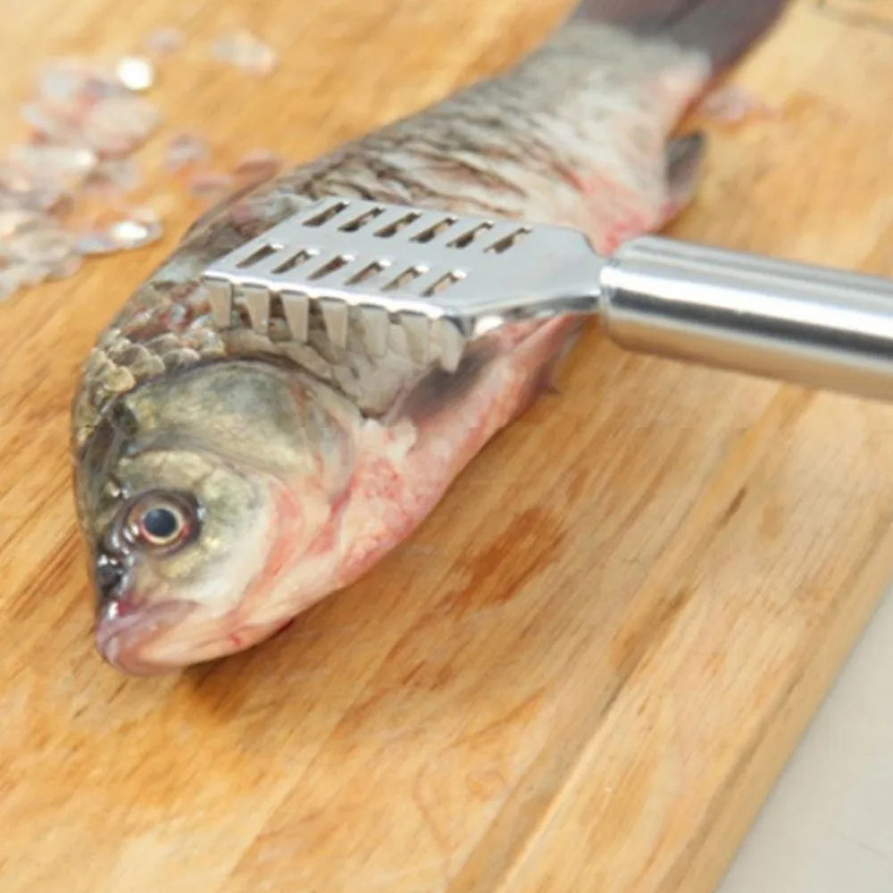 Stainless Steel Fish Scale Remover Silver Handheld Fish Descaler Tool Easy to Use Portable Fish Skin Scraper Home Kitchen