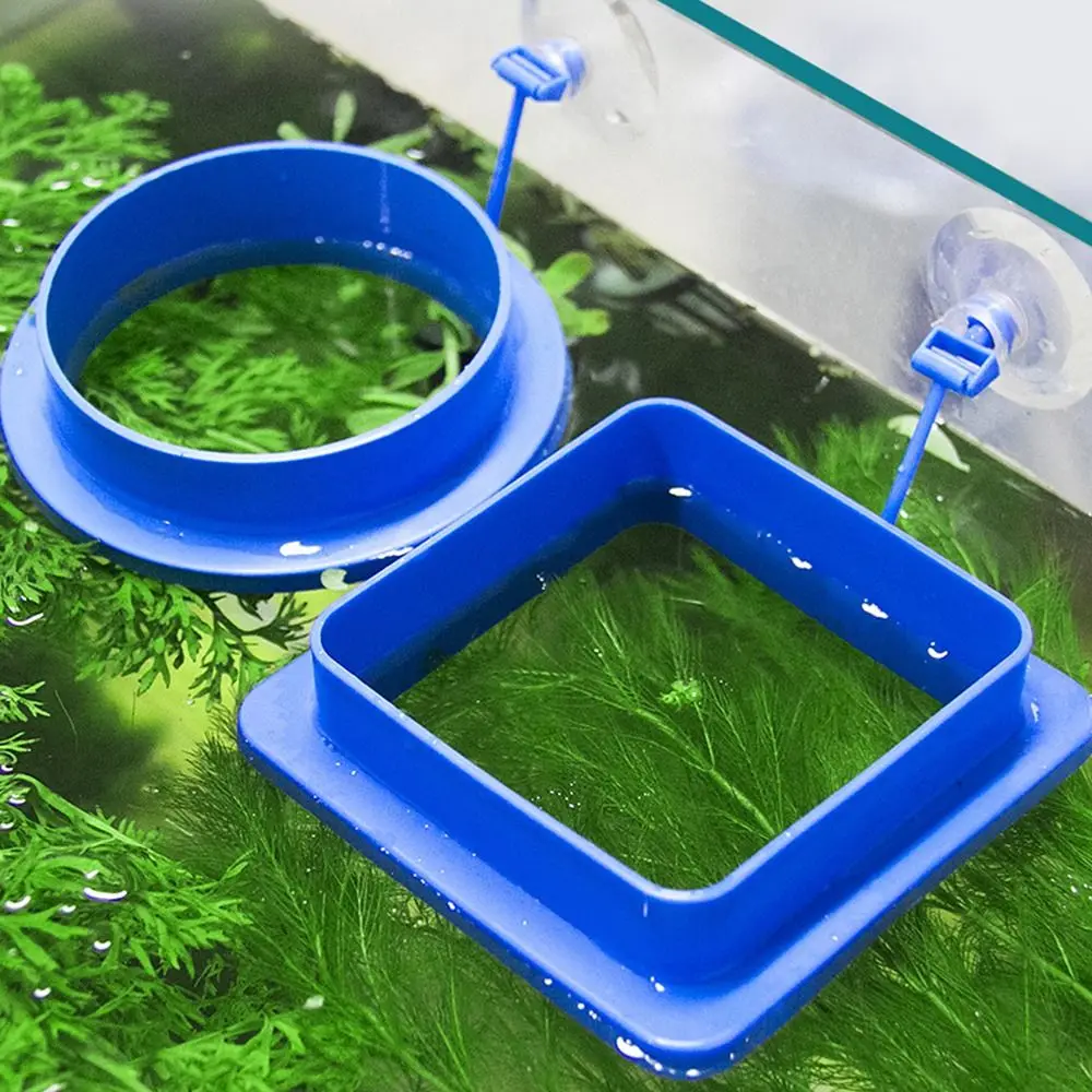 Nuevo alimentador de punto fijo flotante de plástico, anillo de alimentación de peces cuadrado no tóxico, alimentadores redondos para carpa, alimentación de acuario