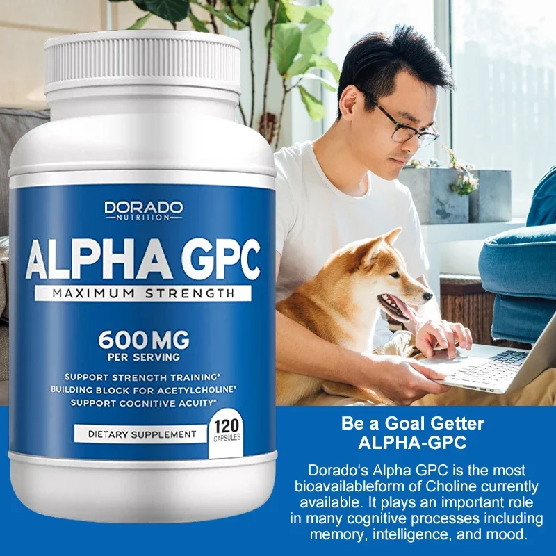 Alpha GPC Choline Brain Supplement for Acetylcholine Advanced Memory Formula, Focus and Brain Support Supplement