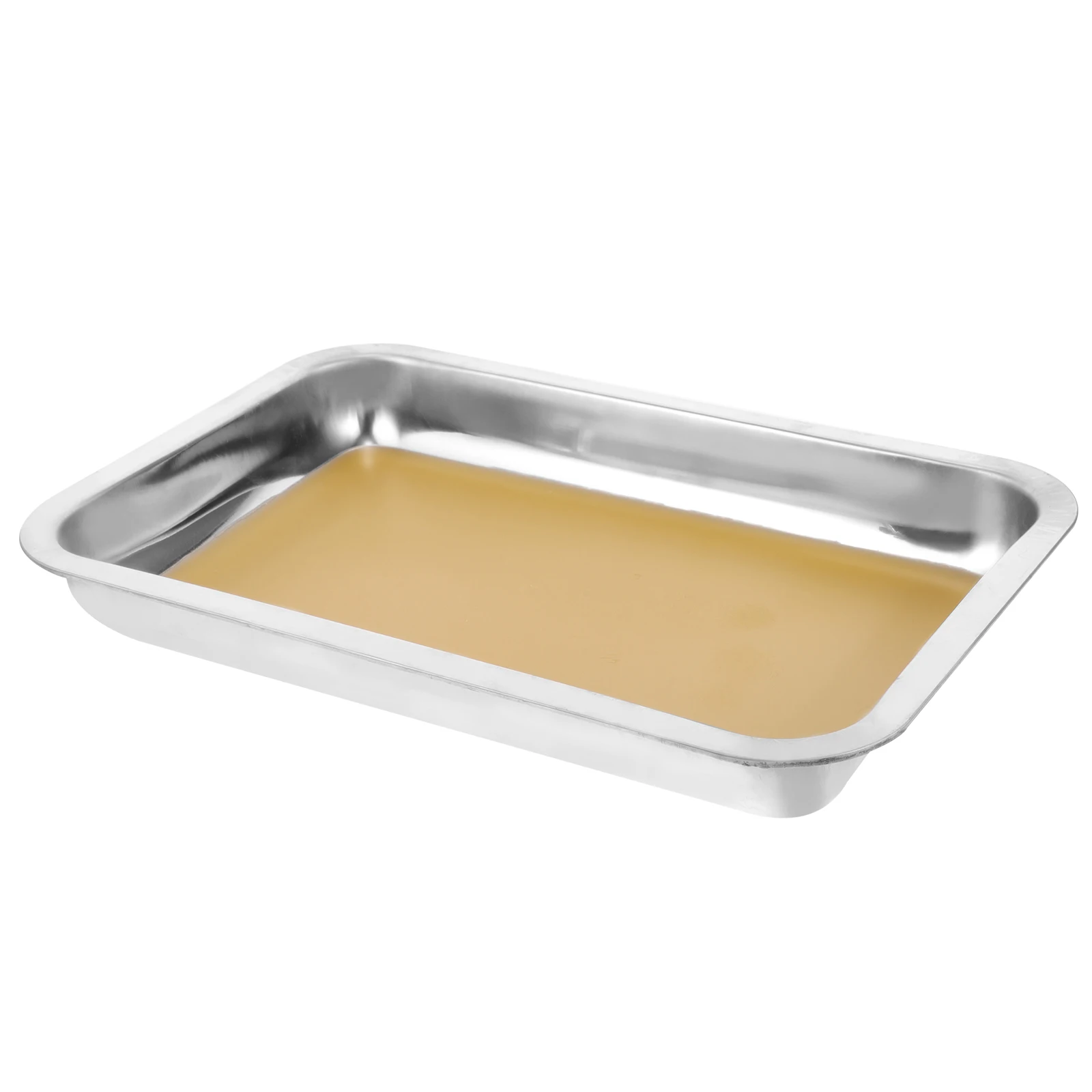 Anatomy Tray Wax Stainless Steel Dissecting Tray Lab Instrument Teaching Equipment Biological Experiment Tools