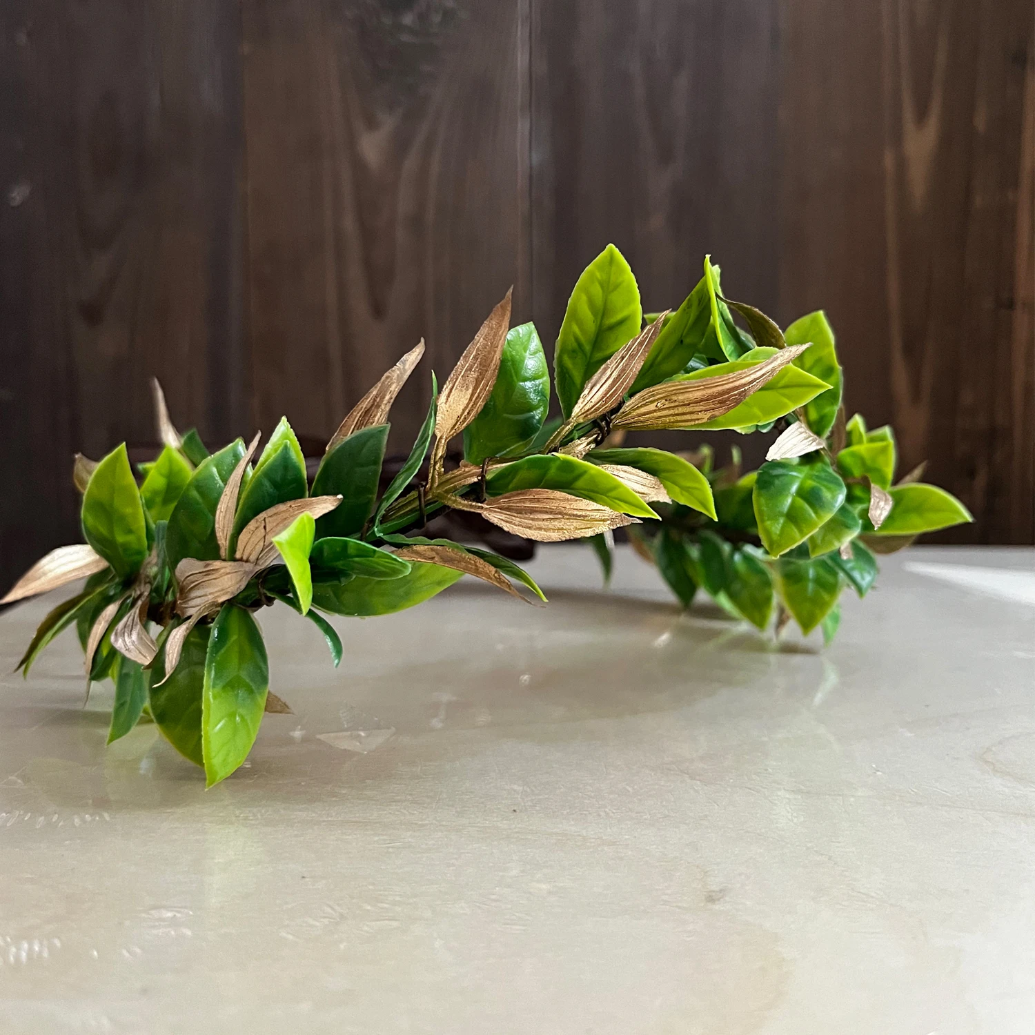 Unisex Green Woodland Laurel Crown Roman Leaf Headpiece Godess King Headband Halloween Renaissance Renfaire Cosplay Toga Costume