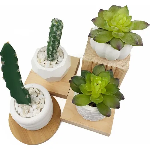 Candy Office 4'lü Concrete Plant Pot Cactus and Sukulent Kit Birthday party