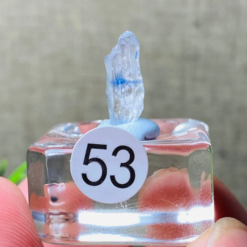 Natural Brazil Dumortierite Blue Rabbit  Mineral Specimen Raw Energy Crystal Healing Stone Meditation Irregularity Small Size