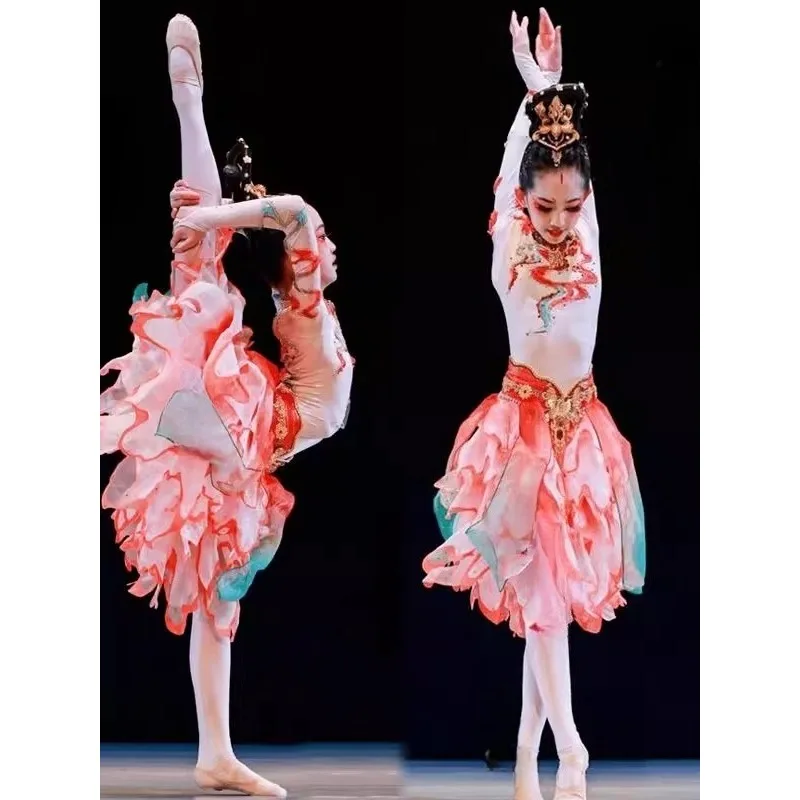 

New Dunhuang Dance Suit Exotic Style Classical Dance Chinese Style National Suit Rebound Pipa