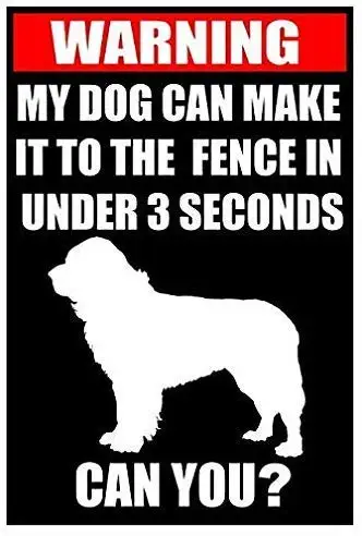 Tin speaking Funny Warning Beware of Dog Newfoundland Sign Black 8x12Metal Bar, Living Room Decoration, Restaurant Decoration, I