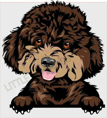 

For Toy POODLE Peeking Dog Breed Color Window Wall Laptop Sticker