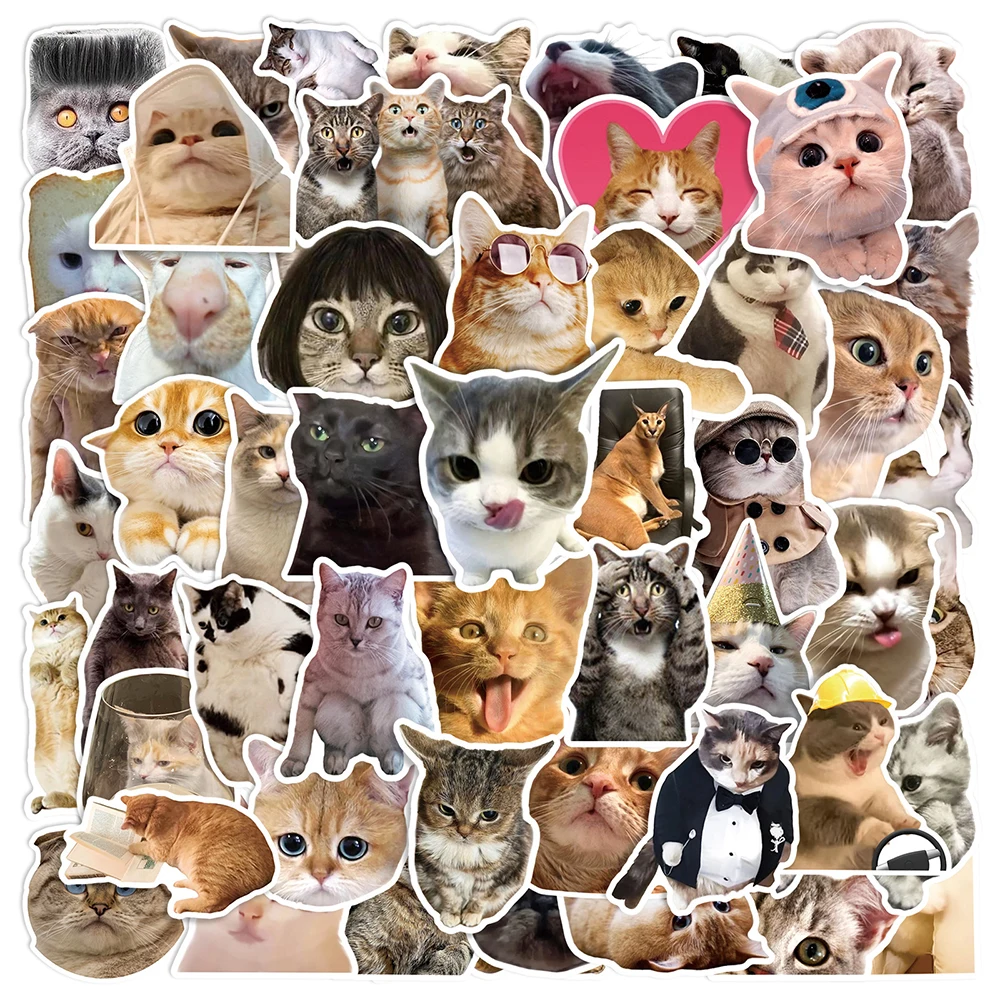 

10/30/50pcs Cute Funny Cat Meme Animal Graffiti Stickers Waterproof DIY Phone Case Guitar Laptop Notebook Sticker for Kids Toy