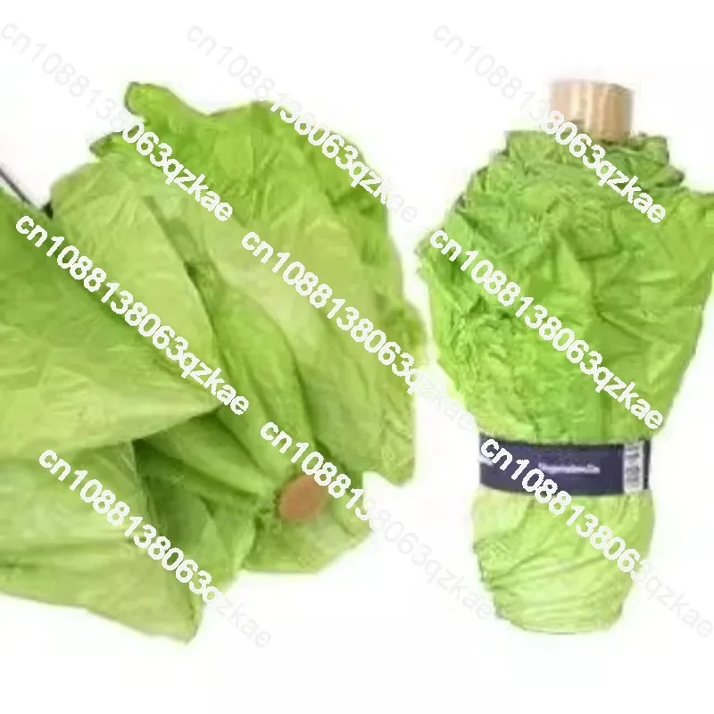 Unique Lettuce Umbrella