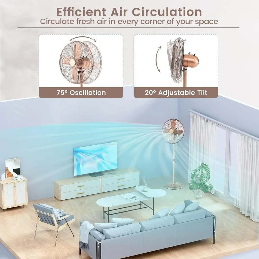 مروحة بقاعدة 16 مروحة متأرجحة مع 3 سرعات واسعة السرعة قابلة للتعديل بزاوية ارتفاع منخفضة الضوضاء مروحة أرضية مع 75 تذبذب 20 م