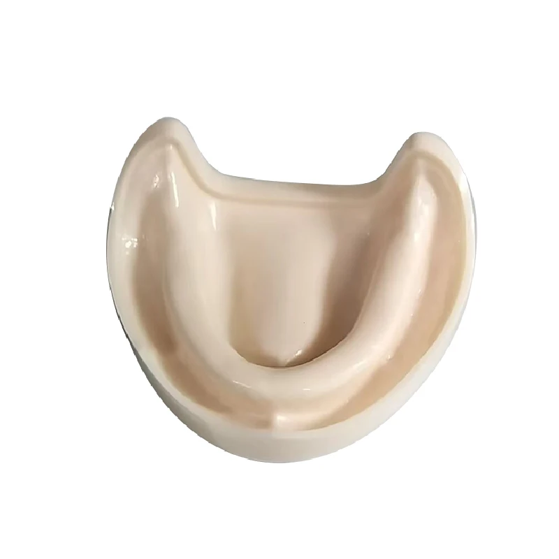 

DentalS ImplantS DentalS Model Practice Mandibular Model
