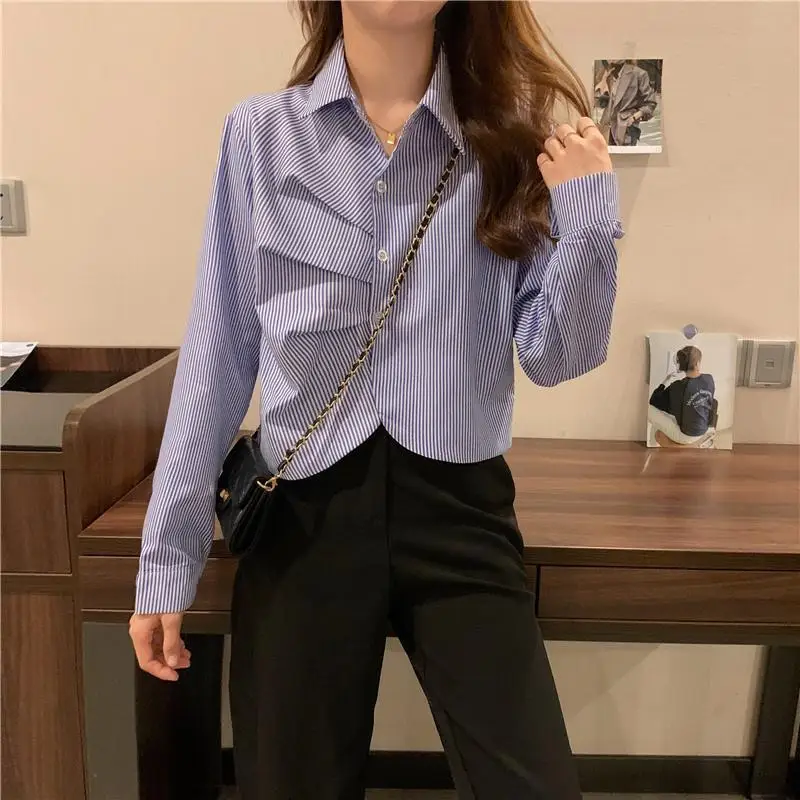 2024 Spring and Autumn New Elegant Women\'s Shirt Long-sleeved Base Shirt Women\'s Loose Chiffon Shirt Inner and Outer Blouse