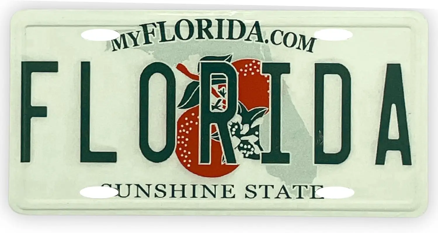 Miniature Florida Tin Sign Magnet, for Fridge and Office Decor, Collectible Souvenir,