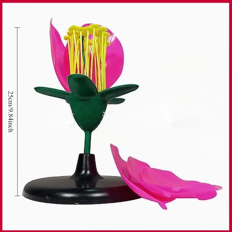 Detachable Giant Dicot Flower Peach Blossom Flower Anatomy Model Plant Anatomical Model Biology Teaching Experiment Equipment