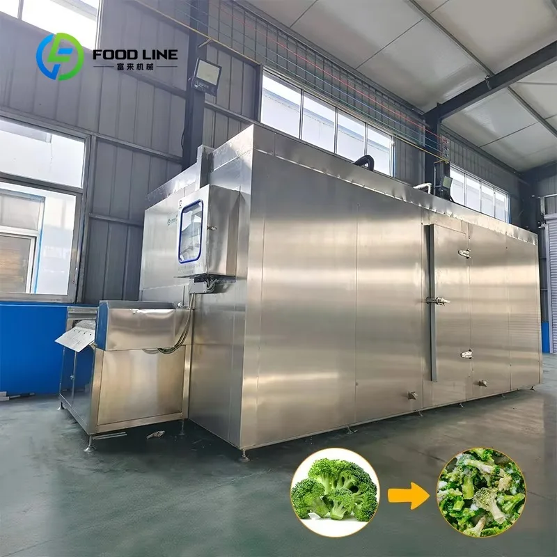 Customized Tunnel Liquid Nitrogen Quick Freezer with Continuous Mesh Belt Feeding Conveyor & Visual Window Control Box