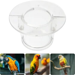 Bird Protective Bead Parrot Collar Anti Feather Picking Ring Anti-Plucking Anti-Grab Collars Pet Supplies for Rodents & Birds