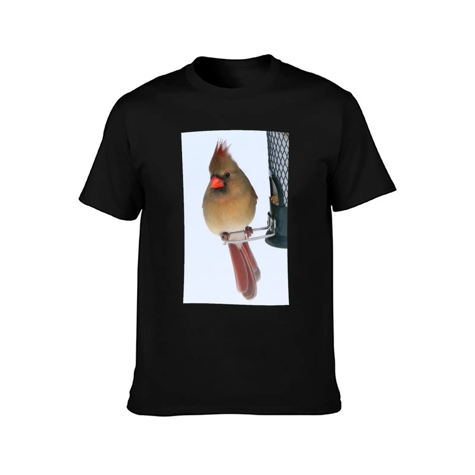 Northern Cardinal T-Shirt Basic Daily Outfit Short Sleeve Tee T-Shirt
