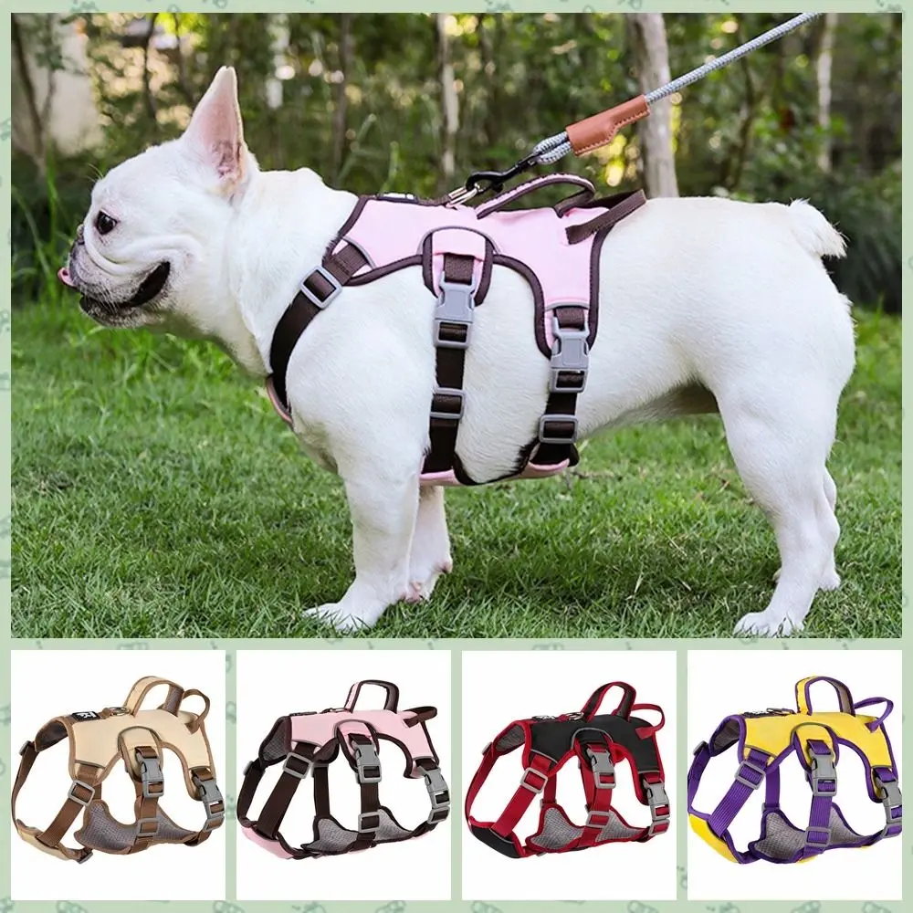 Thumbnail 3 - #17 New Dog Car Safety Harnesses Arrivals