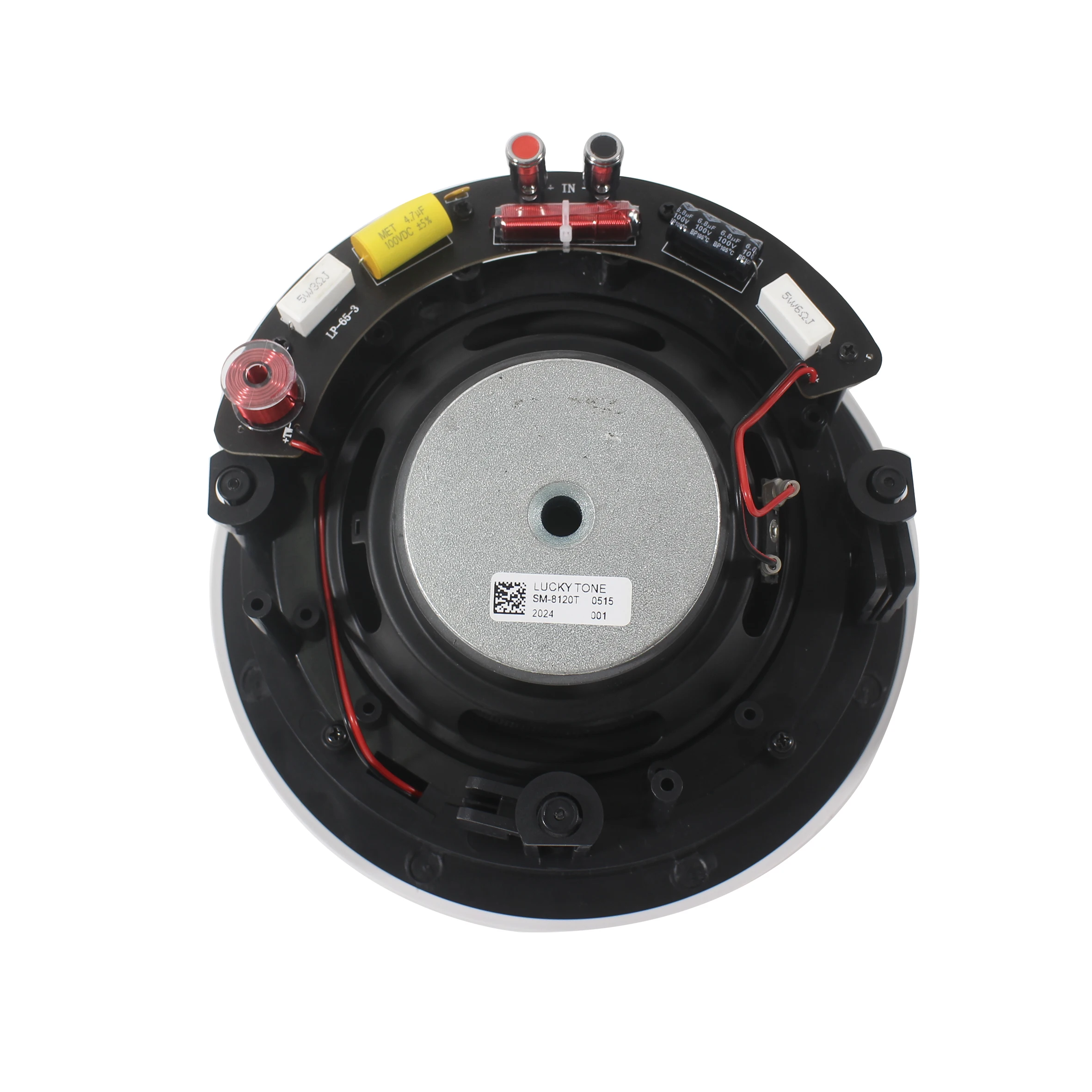 Ceiling Mounted Speaker for Background Music and Announcements