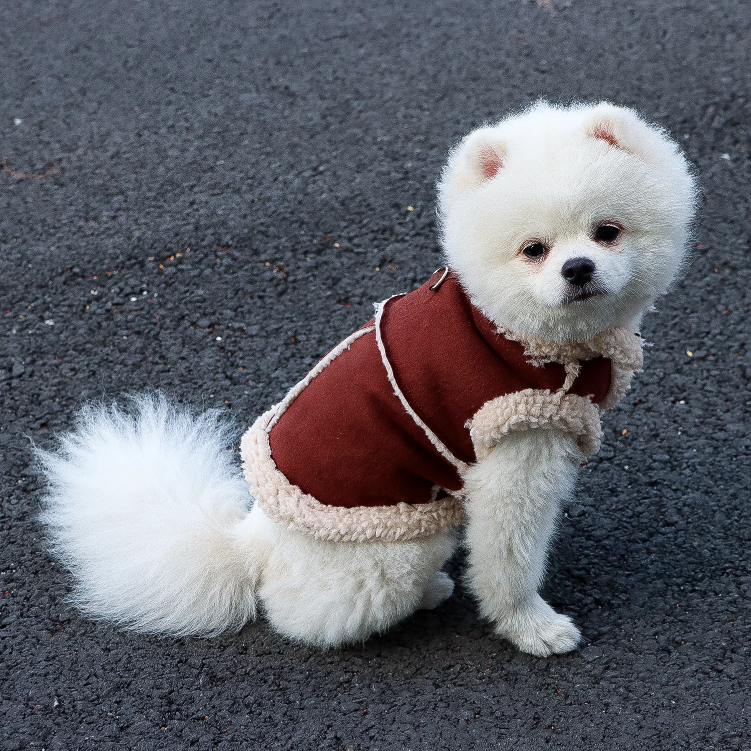 Dog Jackets Warm Plush Dog Vest for Winter Soft Fleece Lining Sweater for Small dog Cat Cute Puppy for Autumn Winter Cold Weathe