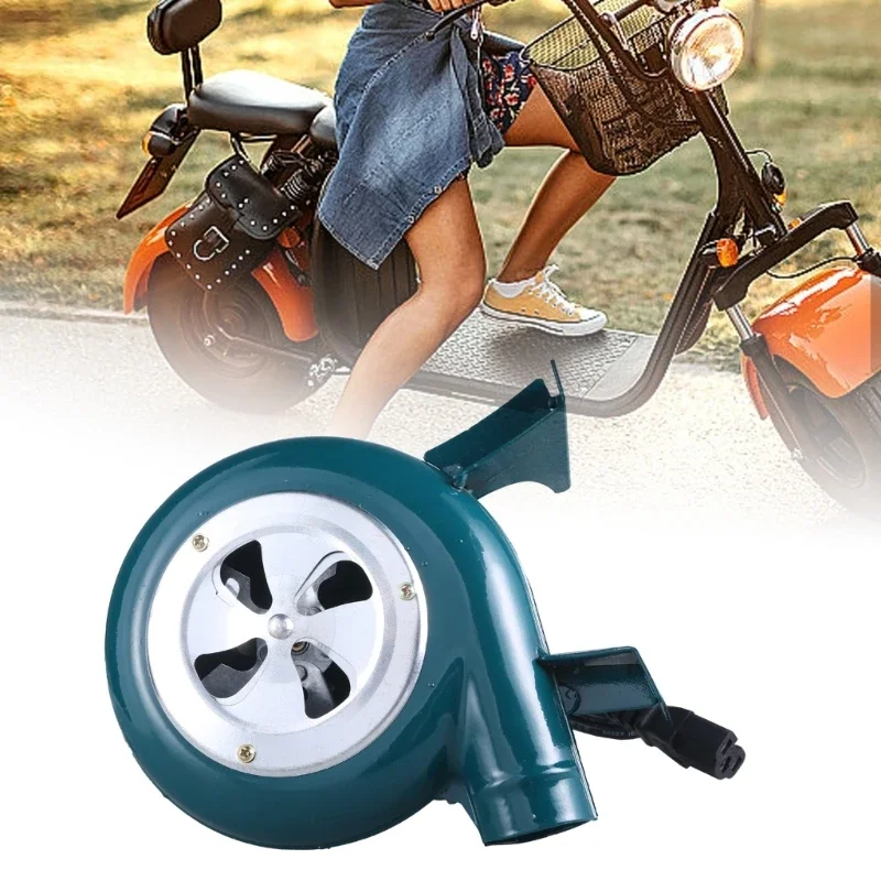 Barbecue Fan, Bbq B… - image