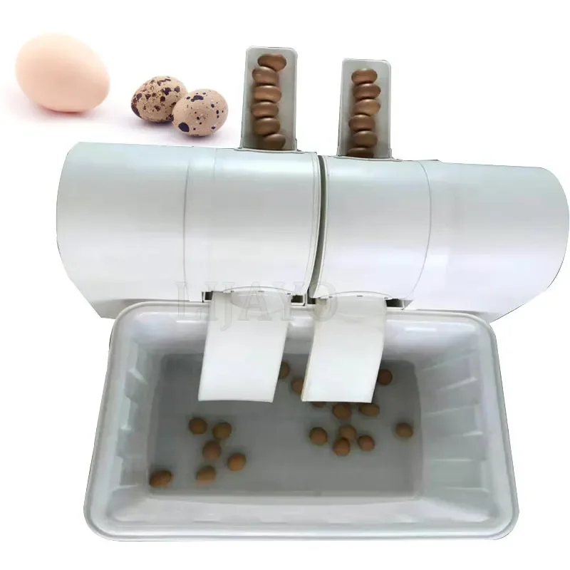 

Roller Egg Brushing Machine With Water Circulation System Chicken Duck Goose
