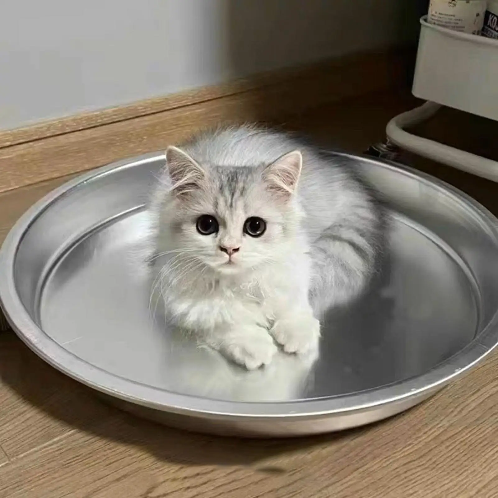 Cooling Dog Bed 15.… - image