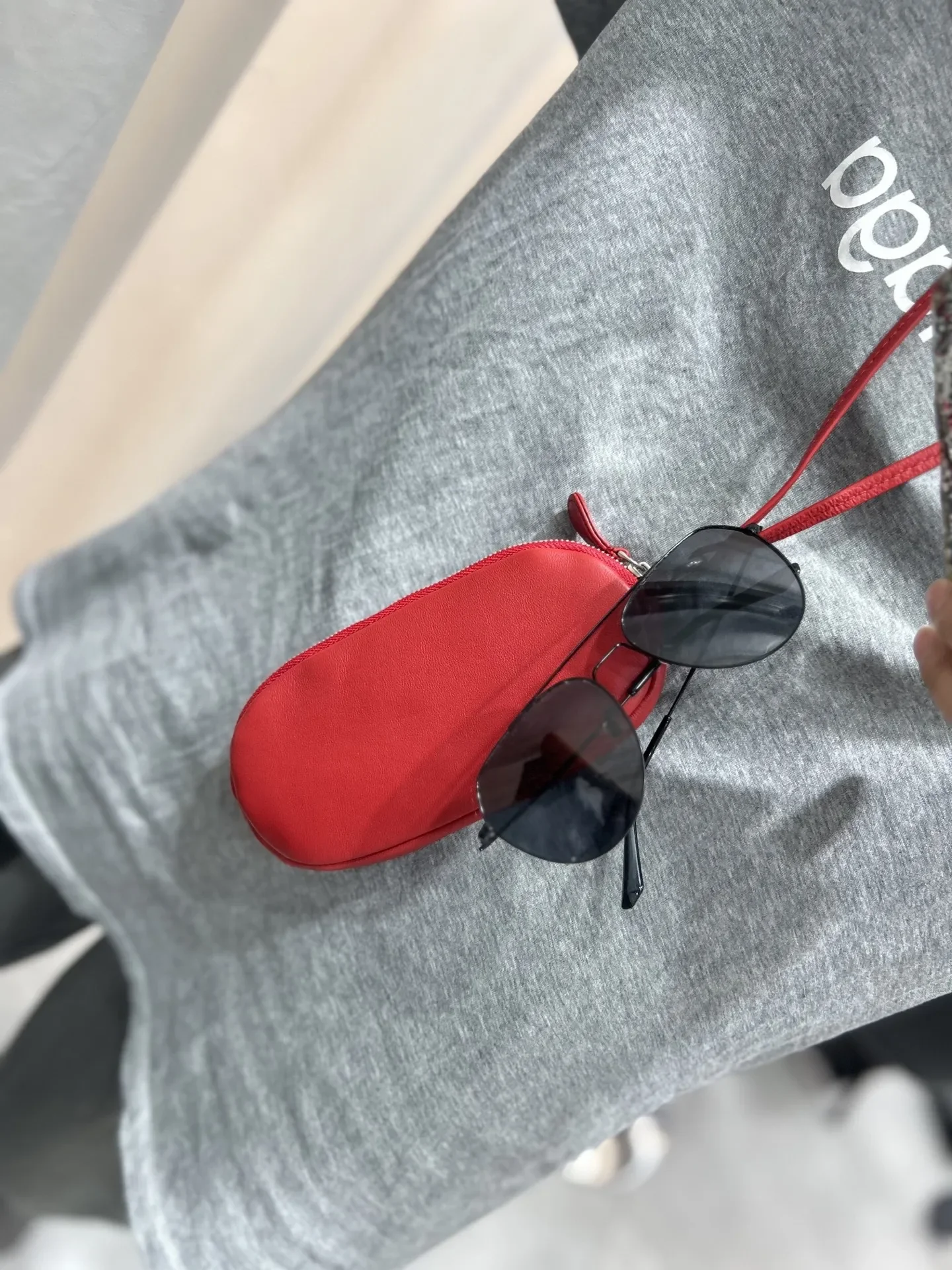

High-end Light Luxury Sheepskin Neck Bag 2025 Summer Women's Bag Simple Fashionable Exquisite and Small Mini Glasses Bag