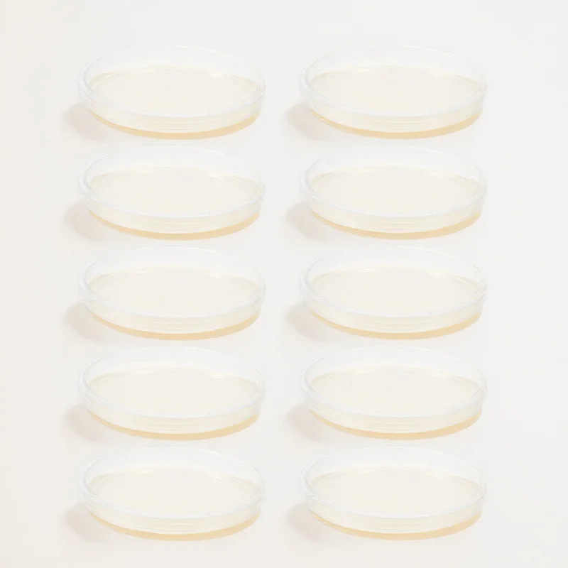 

10pcs LB Agar Plates 9cm Ready to Use Nutrient Agar Microbial Petri Dishes Experiment Supplies science fair