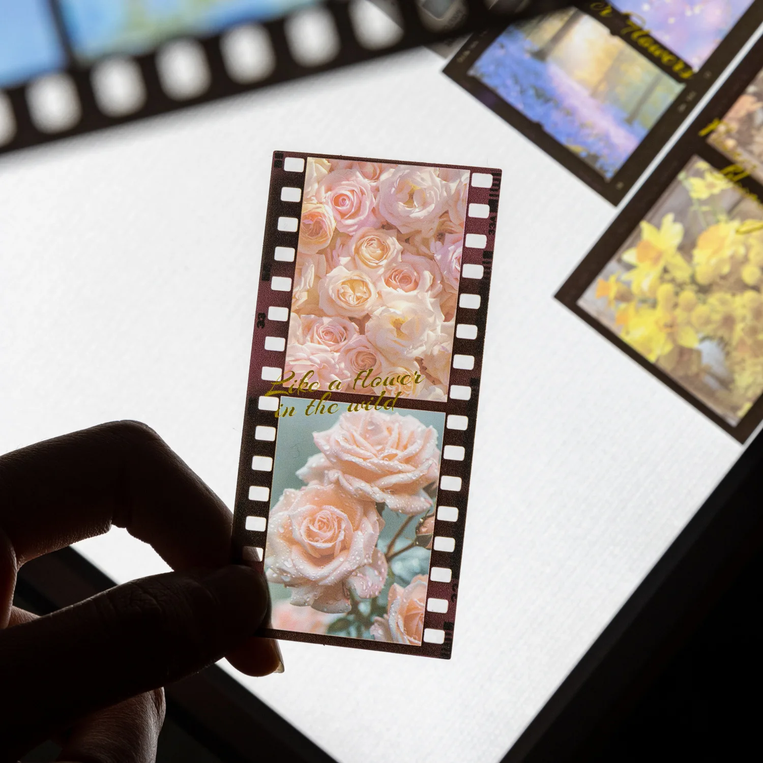 20 Flower Camera Film Sticker Decorative Filmstrip Scrapbook Sticker Photo Frame Sticker for Journaling Arts Crafts Decoration