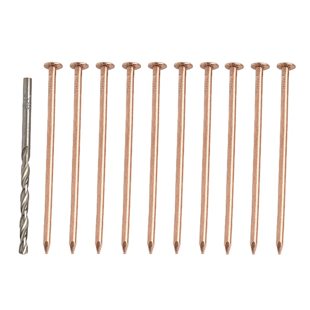 

Root Killing Copper Nails Garden Renovation 3.15 Inches Copper Nails For Killing Plants 10pcs Nail Set 4-inch Long Nails