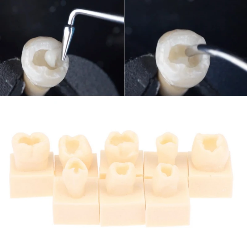 8Pcs Dental Resin Filling Practice Model Posterior Teeth Cavity Hole Restoration Student Training Studying Model