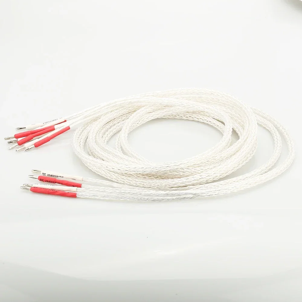 Cavo per altoparlante Biwire HI-End da 2 a 4 OCC placcato argento 8AG HIFI Spina a banana Cavo per altoparlante Biwire per Audiophille