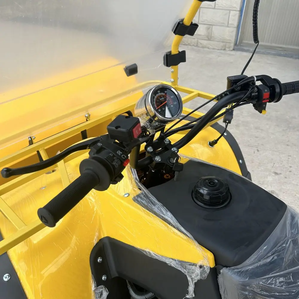 التلقائي أربع عجلات جديد الكهربائية ATV آلة كنس الثلج حديقة جرار الأساسية محرك والعتاد التلقائي بدء Snowplow