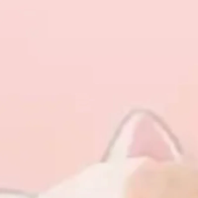 

2026 Cute Cat Dog Series Desk Calendar Table Planner Yearly Agenda Organizer Memo Notes For Home Office School Daily Scheduler