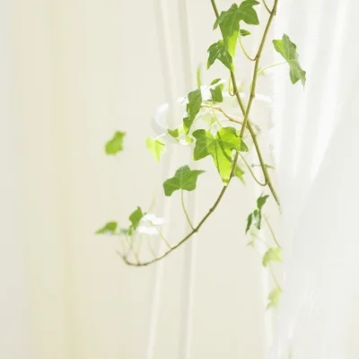 

Цельный ОС O.S. 8 No 8 # 8. Стандартная свеча накаливания, средний разъем для радиоуправляемого автомобиля, грузовика, двигателя, игрушки с дистанционным управлением