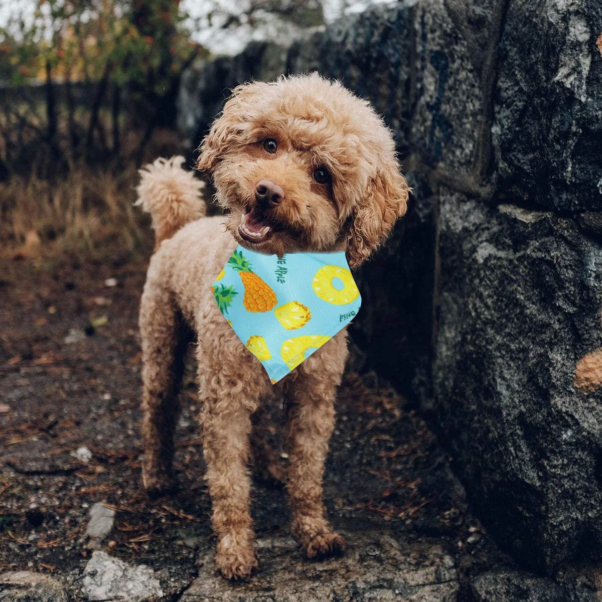 

Pet Triangular Bandanas For Dogs Cats Puppy Dress Up Dog Kerchief Collar Scarf Pet Supplies Neck Accessory