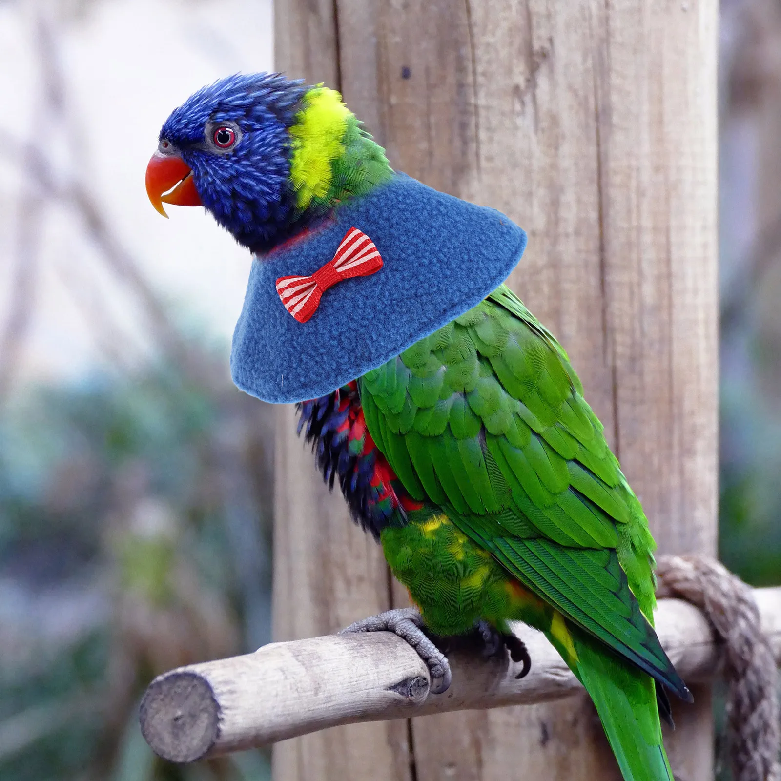 

7Pcs Parrot Anti Bite Collar Ergonomic Bird Neck Protector Lightweight Adjustable Recovery Cone Windproof Bird Cape Plucking