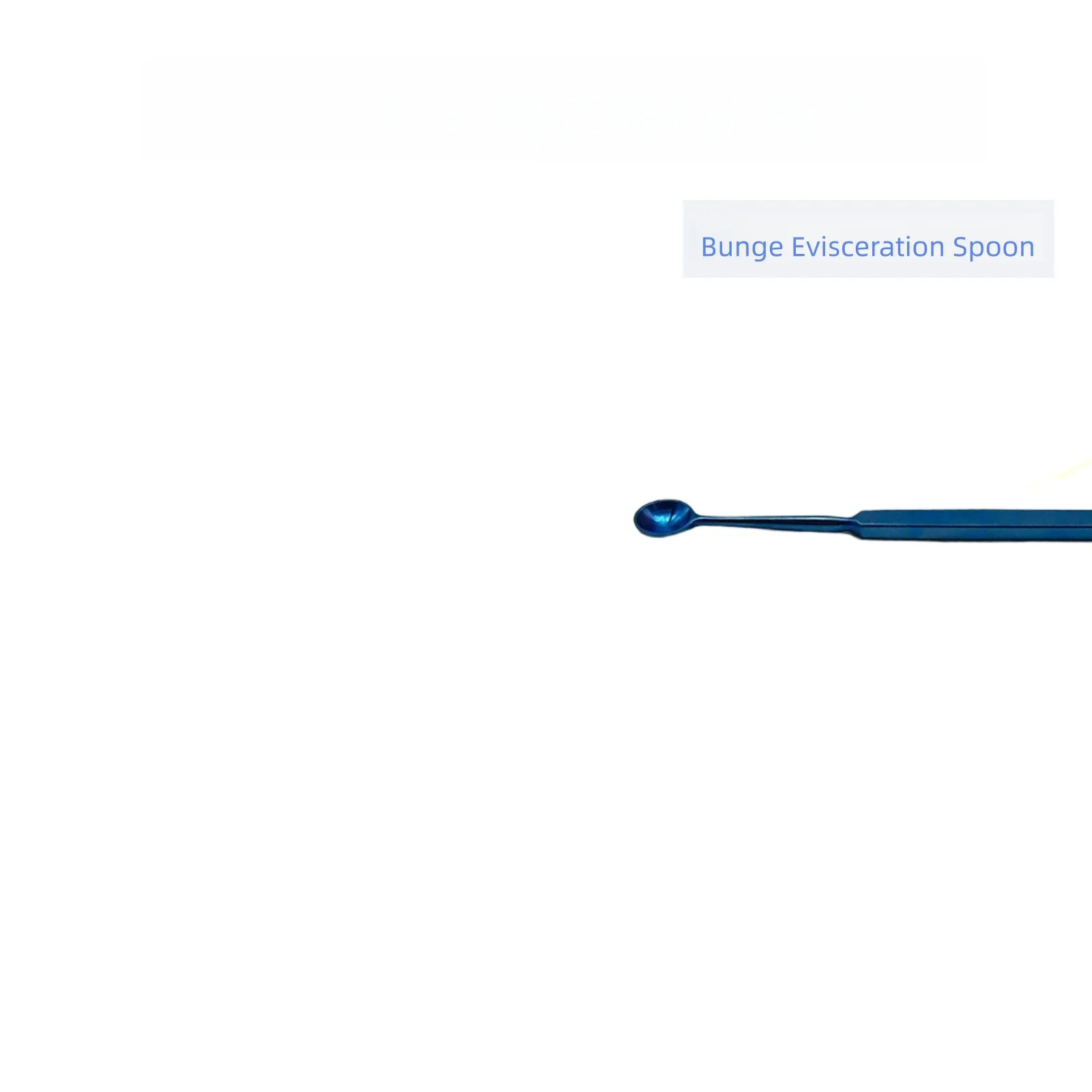 Bunge Evisceration Spoon Ophthalmic Surgical Instrument Stainless Steel Eye Surgery Evisceration Tool