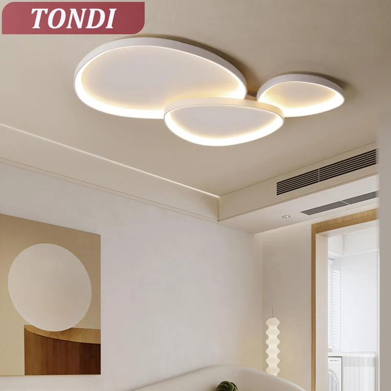 Modern LED Ceiling Lights Living Room Bedroom Dining Room Kitchen Indoor Lighting Simple Chandelier Decorative Lamps