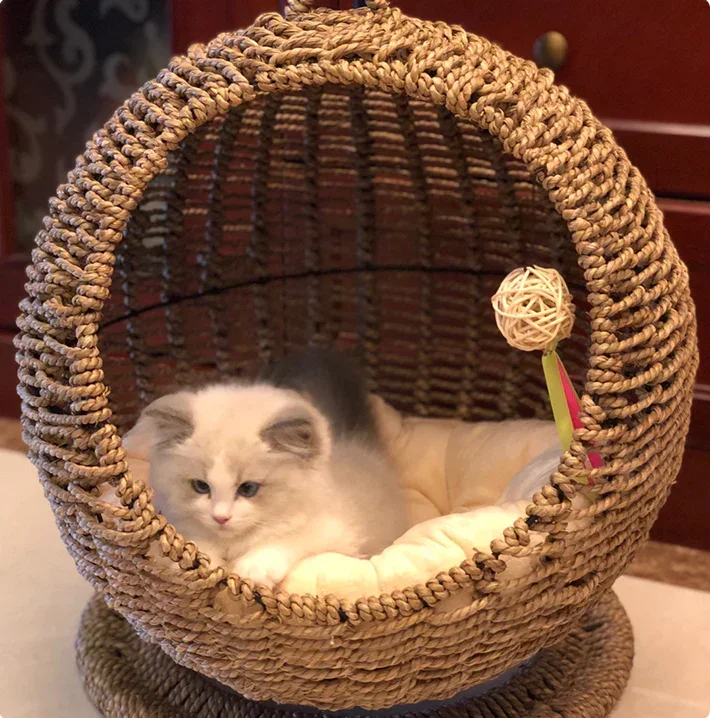 Semi Enclosed Pet Hammock, Cat Nest Cage Round, Hanging Bed Basket Rattan, Summer Hanging Design For Cats