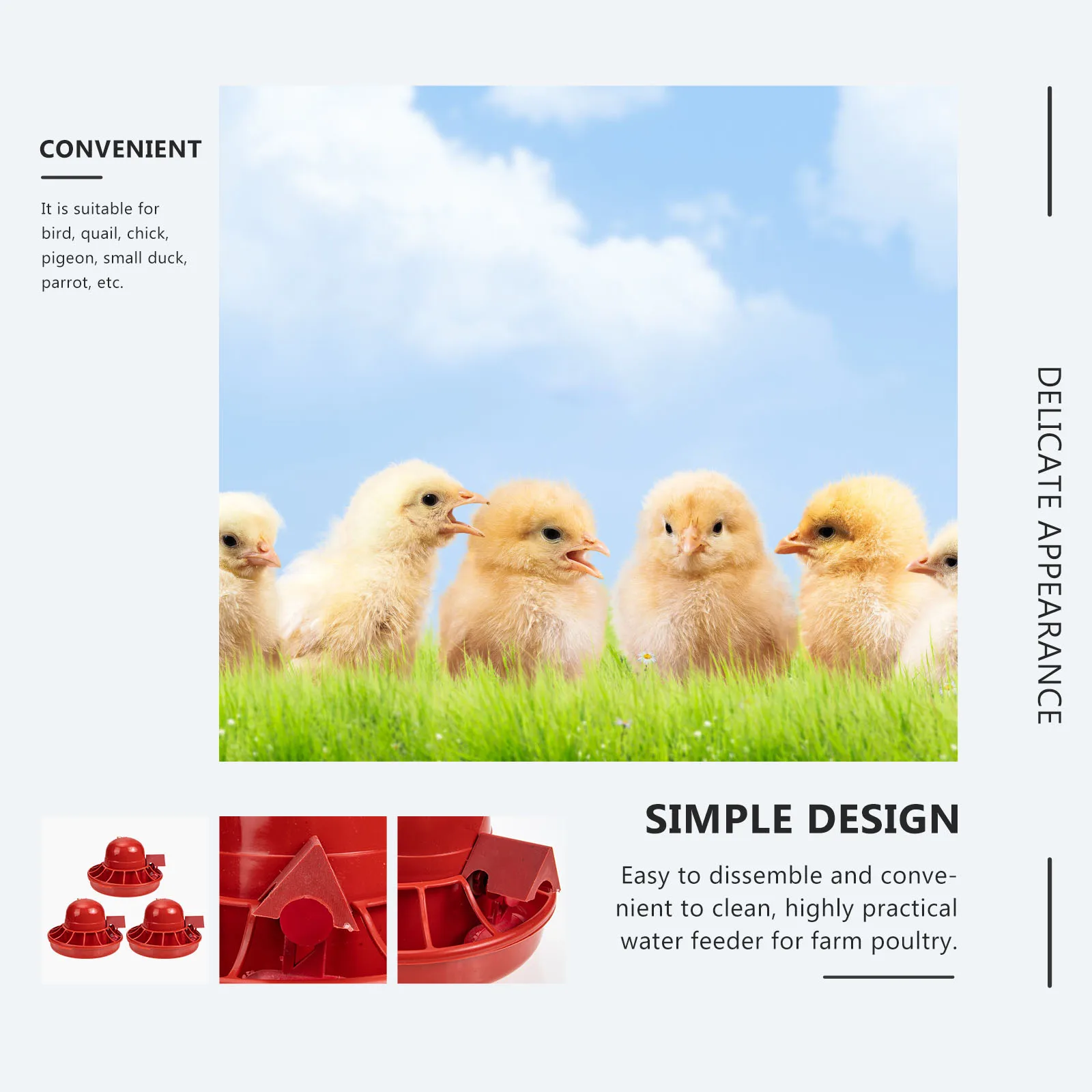 

3 Pcs Chick Water Fountain Chicken Drinker Plastic Poultry Feeder Bowl Automatic