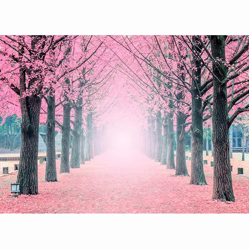 Nitree sakura avenida fotografia pano de fundo prop bordo rosa árvore flor caminho paisagem janela photo studio fundo FFJ-01