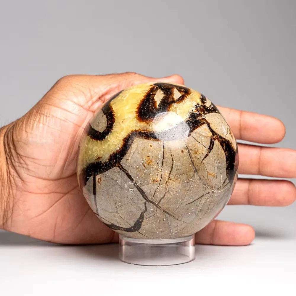 Natural turtle back stone ball ornament, with random styles, suitable for home and garden decoration, can decorate spaces such as courtyards, terraces, living rooms, etc. It is also a Christmas and Halloween gift for family and friends