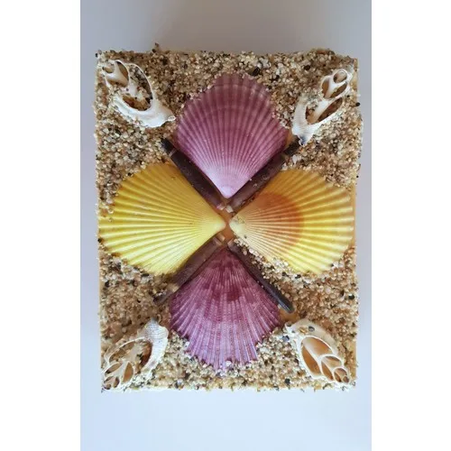 Kefelim Sea Shell And Sea Sand Embellishment Handmade Wood Jewelry Jewelry Box 12x17 cm Rectangle