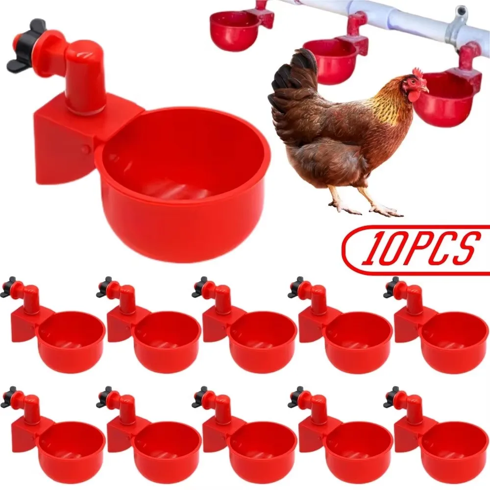 Bebedero automático para pollos, codornices, patos y palomas de corral libre