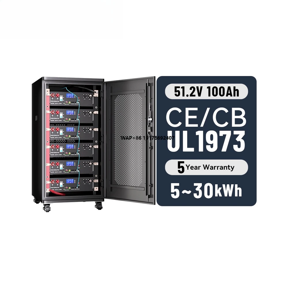 

51.2V 100Ah 200Ah Rack Mounted Lithium Ion Battery Pack 6000 Cycle Life 5KW Home Solar System 51.2V 100Ah 200Ah Rack Mounted Can