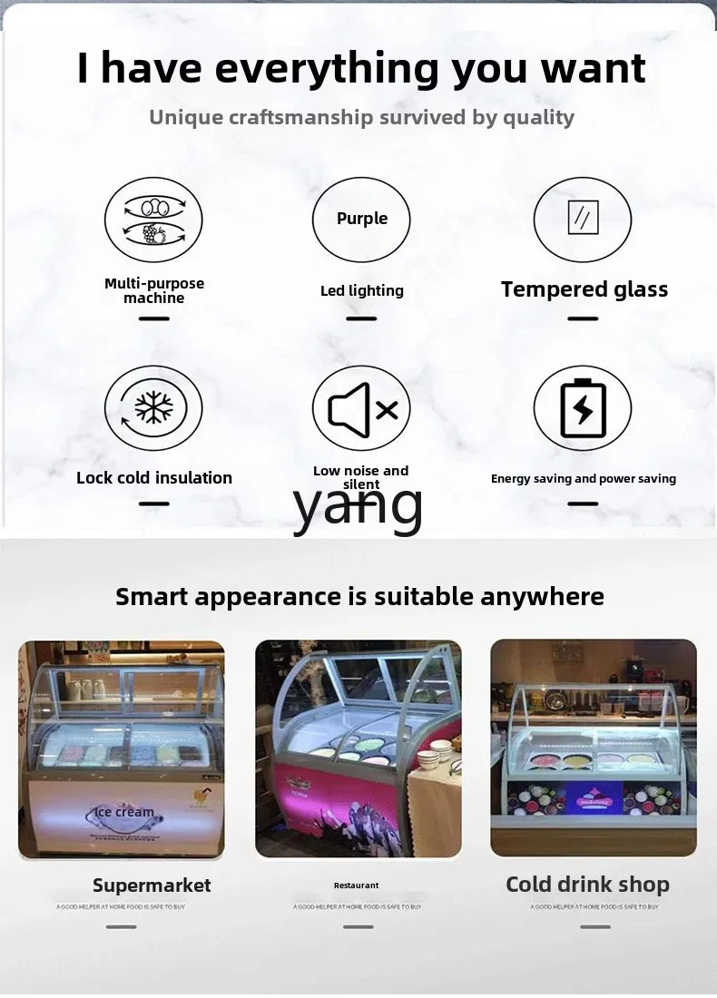 CX  Ice Cream Display Cabinet Frozen Refrigerated Thick Cut Fried Yogurt Freezer view 3