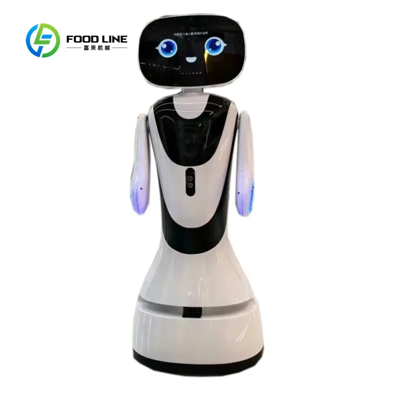 Customized Multi-Language Intelligent Commercial Delivery Robot Innovative Dialogue Service Robot
