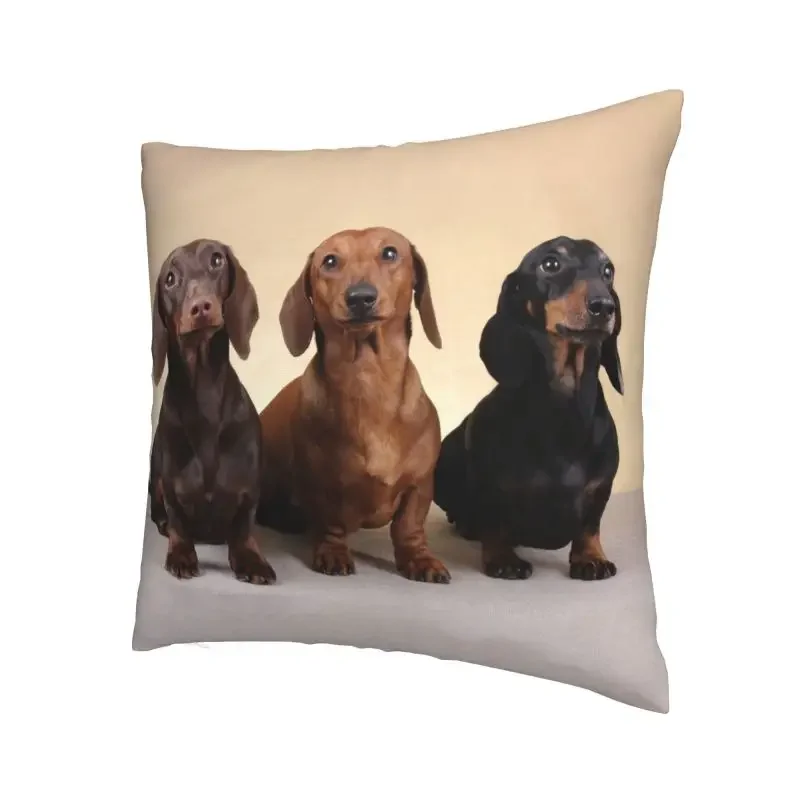 Dachshund Pillow Cover Home Decor Badger Sausage the Wiener Dog Cushion Cover Throw Pillow for Living Room Double-sided Printing